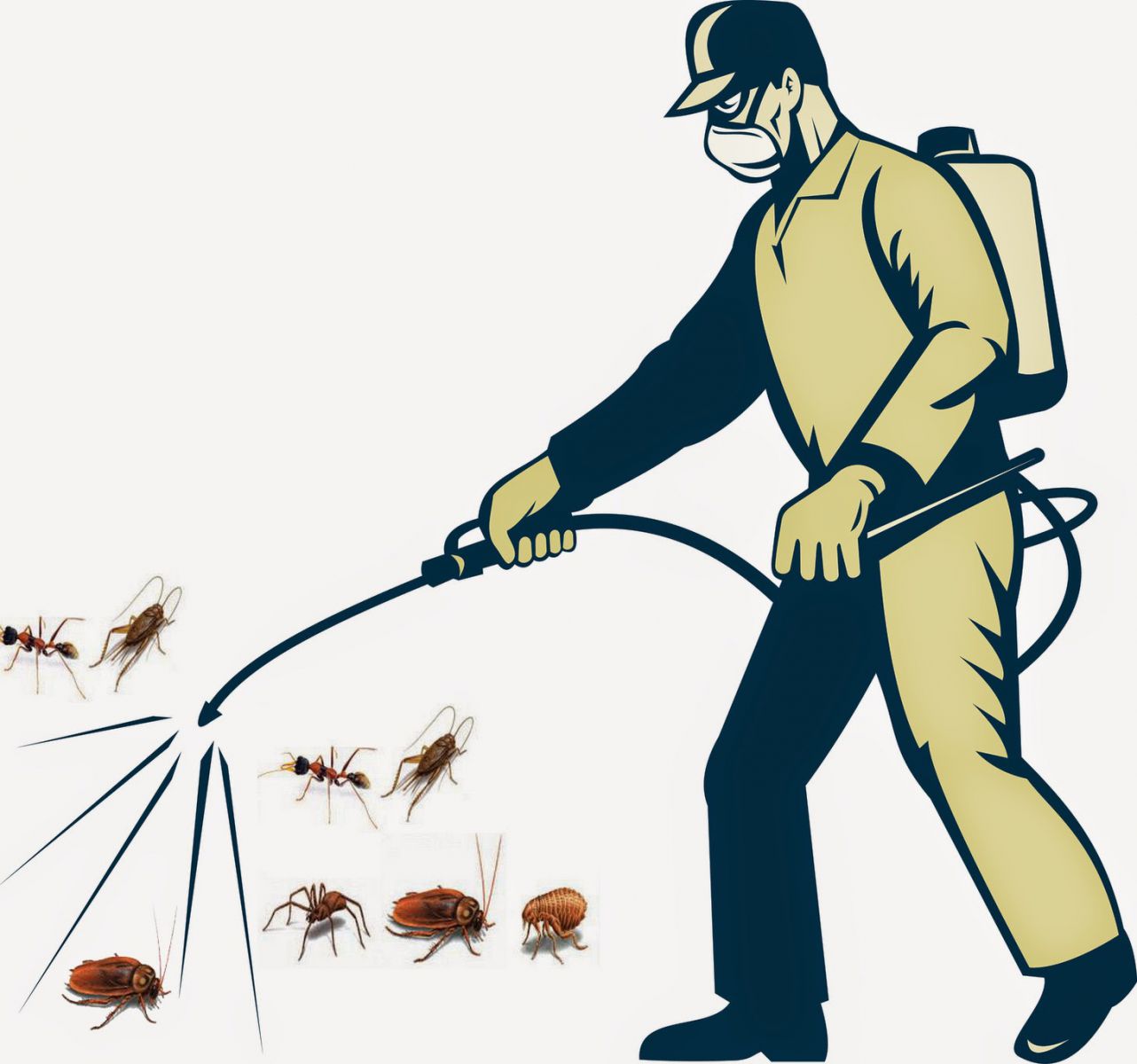 dịch vụ diệt côn trùng